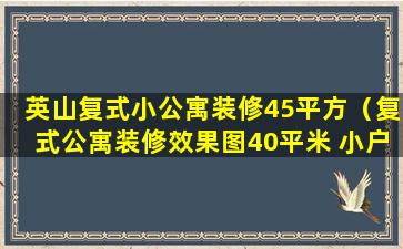 英山复式小公寓装修45平方（复式公寓装修效果图40平米 小户型多少钱）